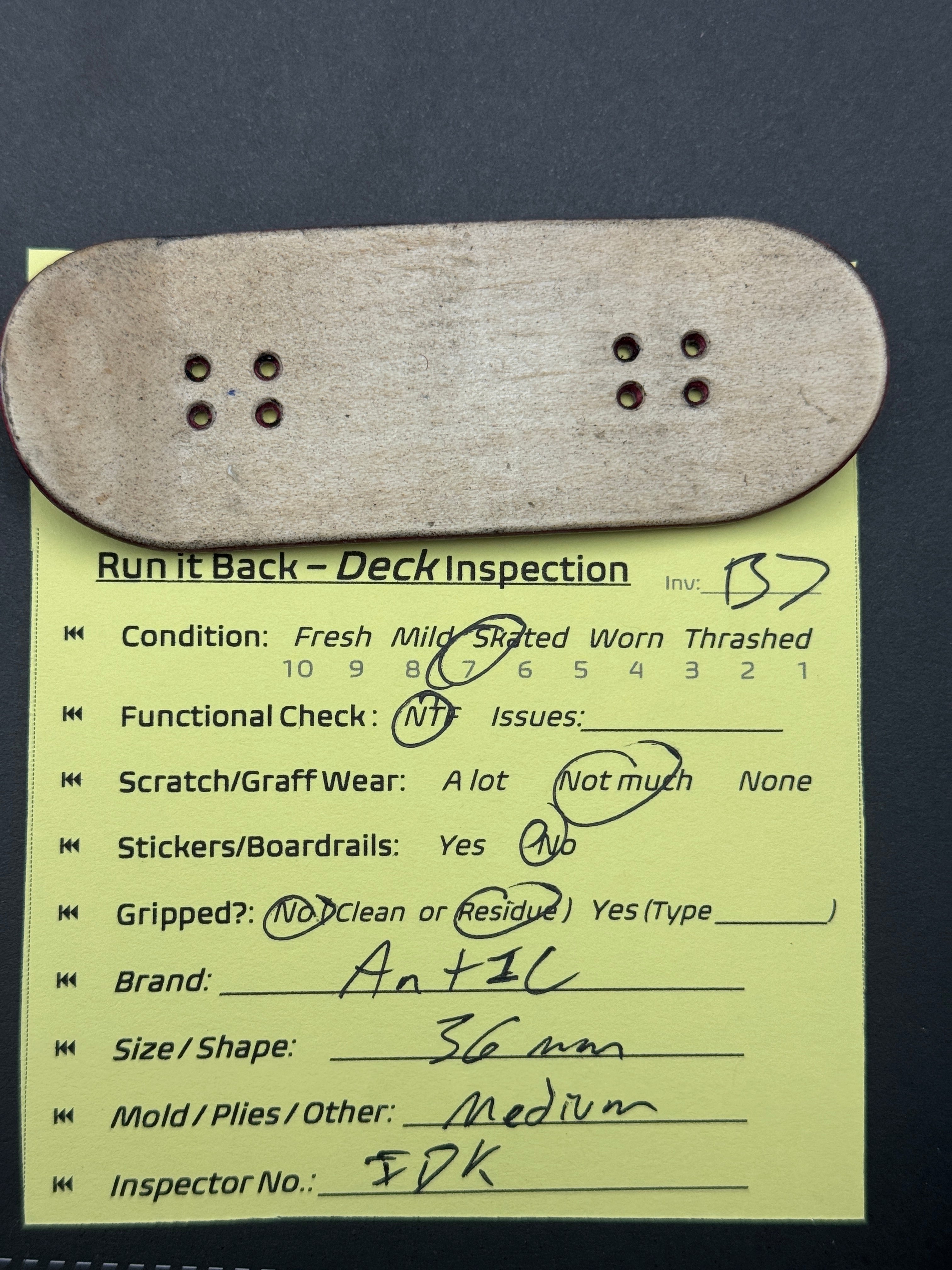 Antic 36mm Medium - Skated