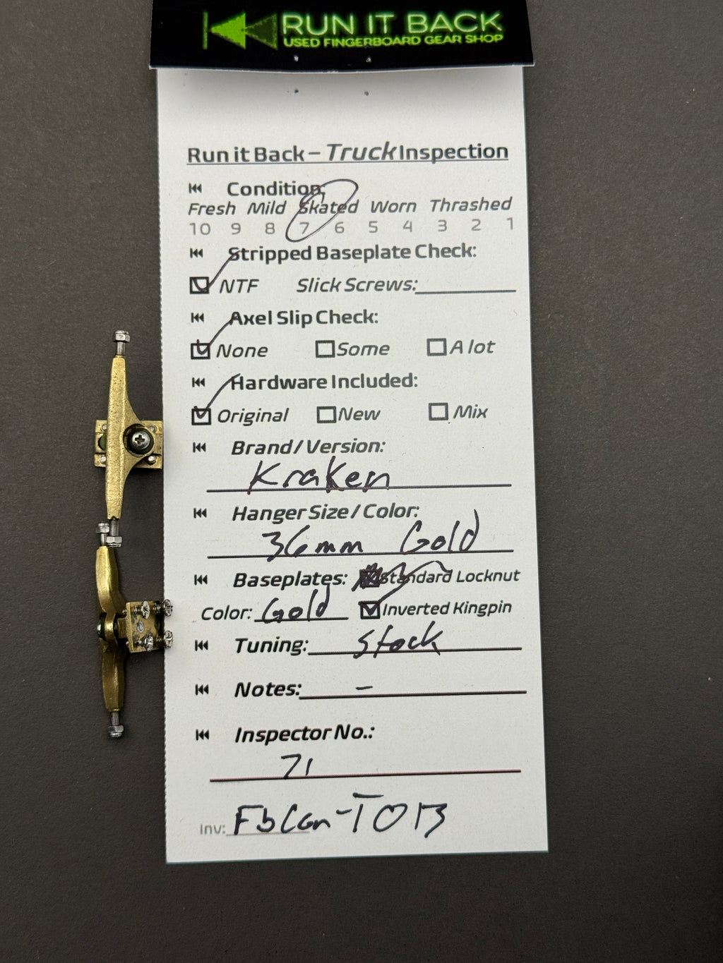 Kraken 36mm Gold - Skated