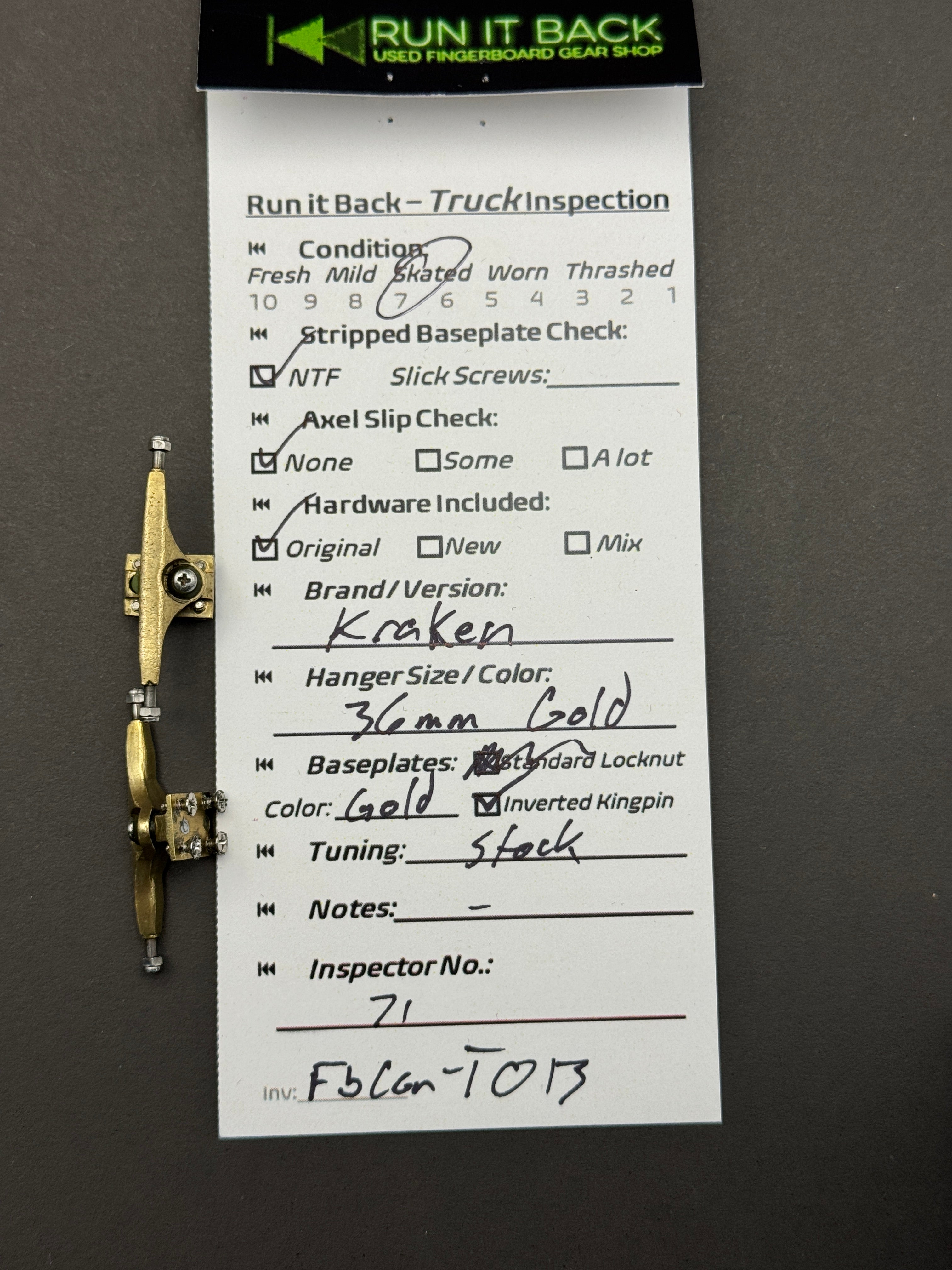 Kraken 36mm Gold - Skated