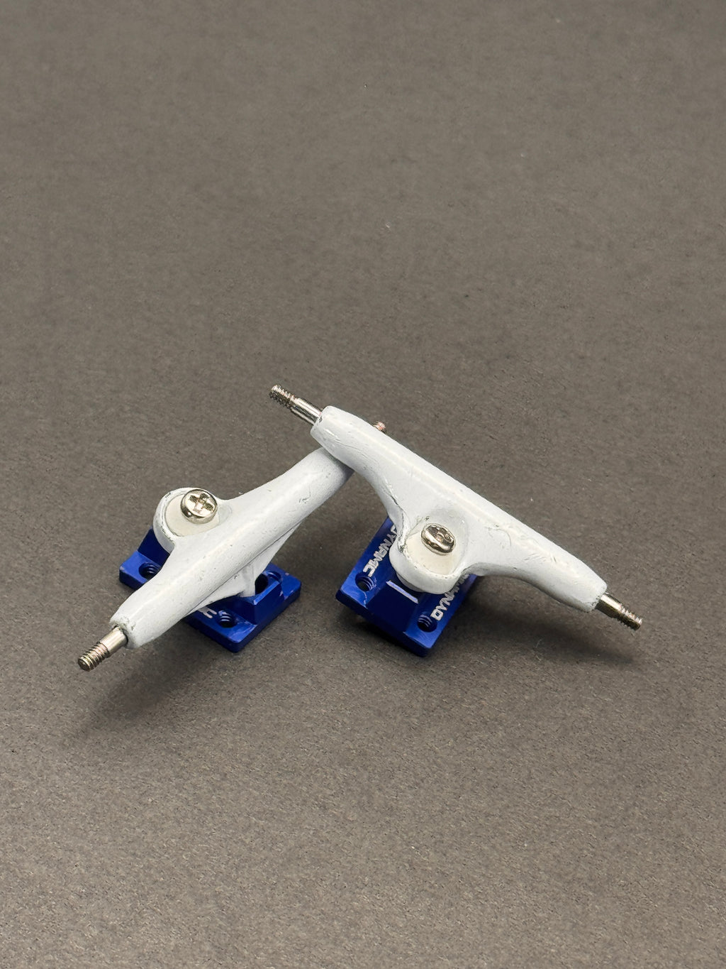 Dynamic 34mm White/Blue - Fresh