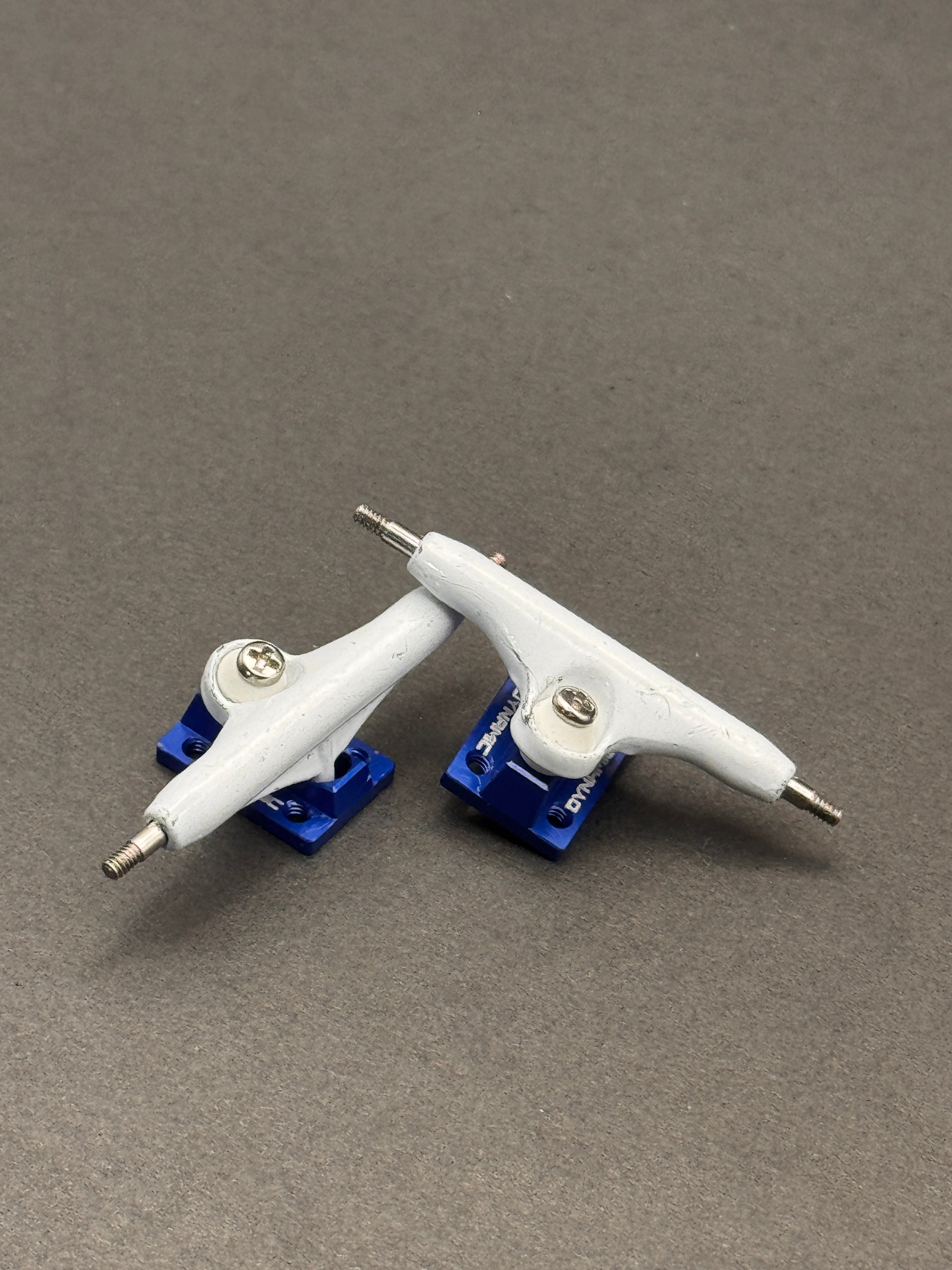 Dynamic 34mm White/Blue - Fresh