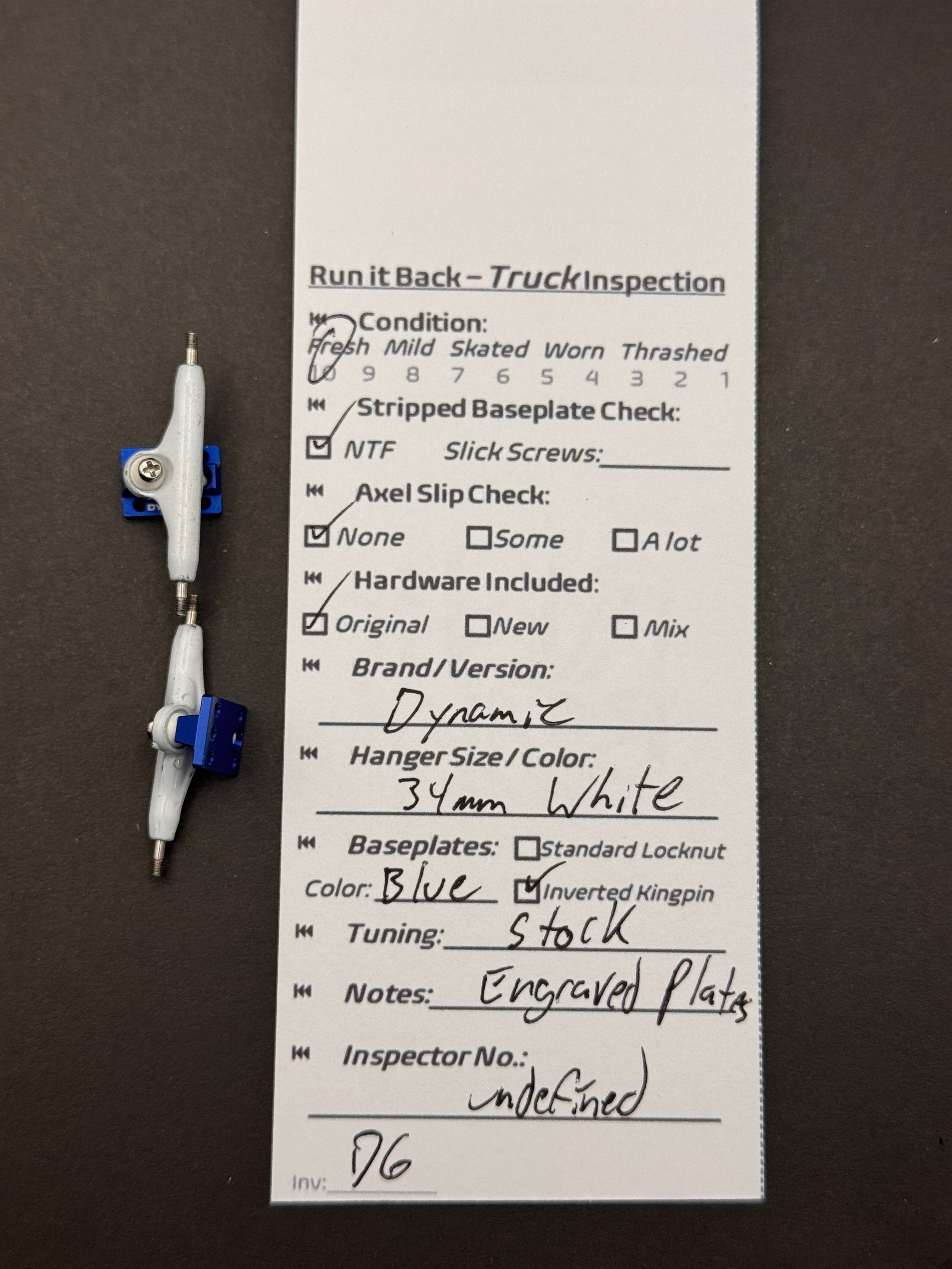 Dynamic 34mm White/Blue - Fresh