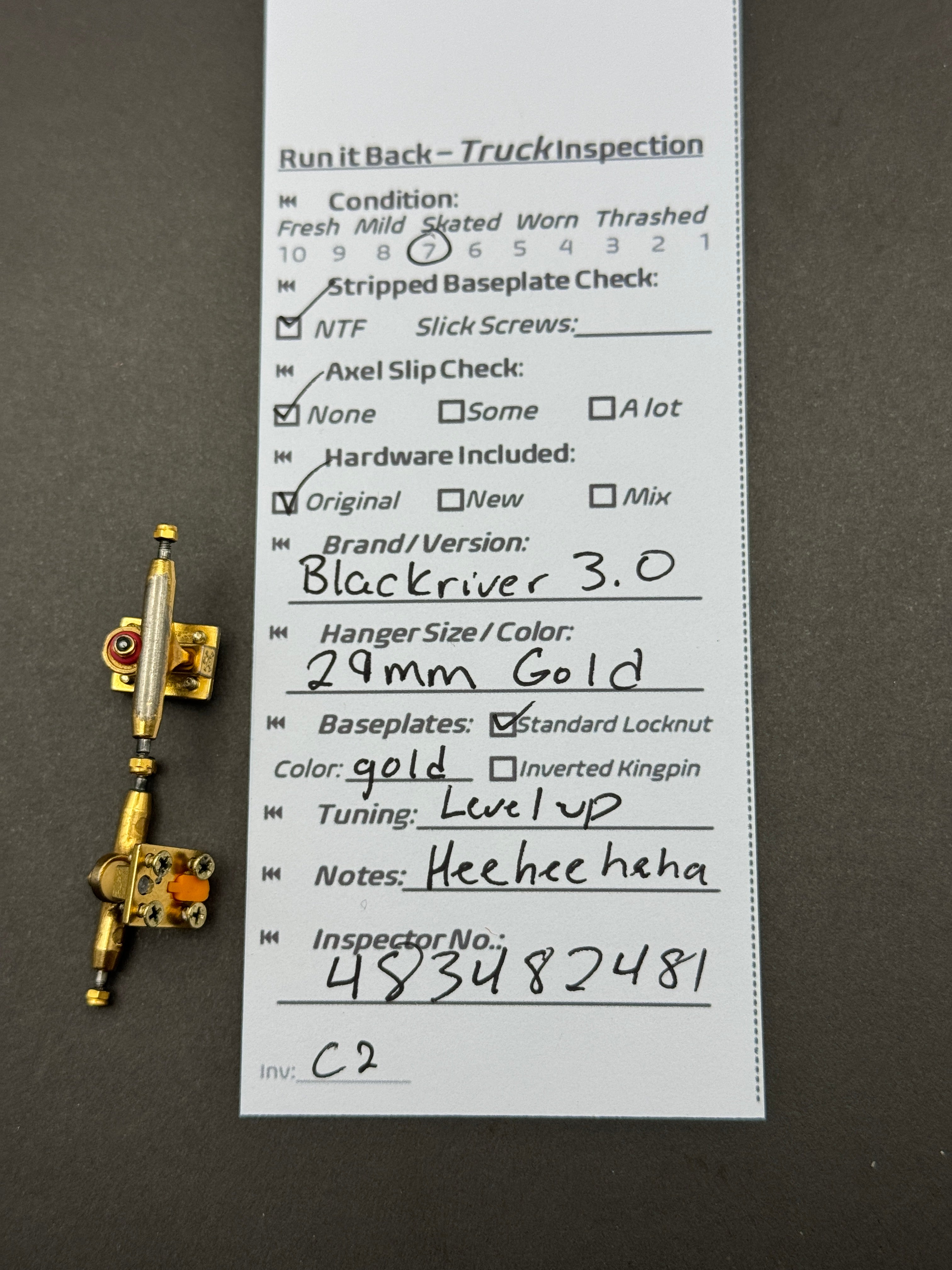 Blackriver 3.0 29mm Gold – Skated