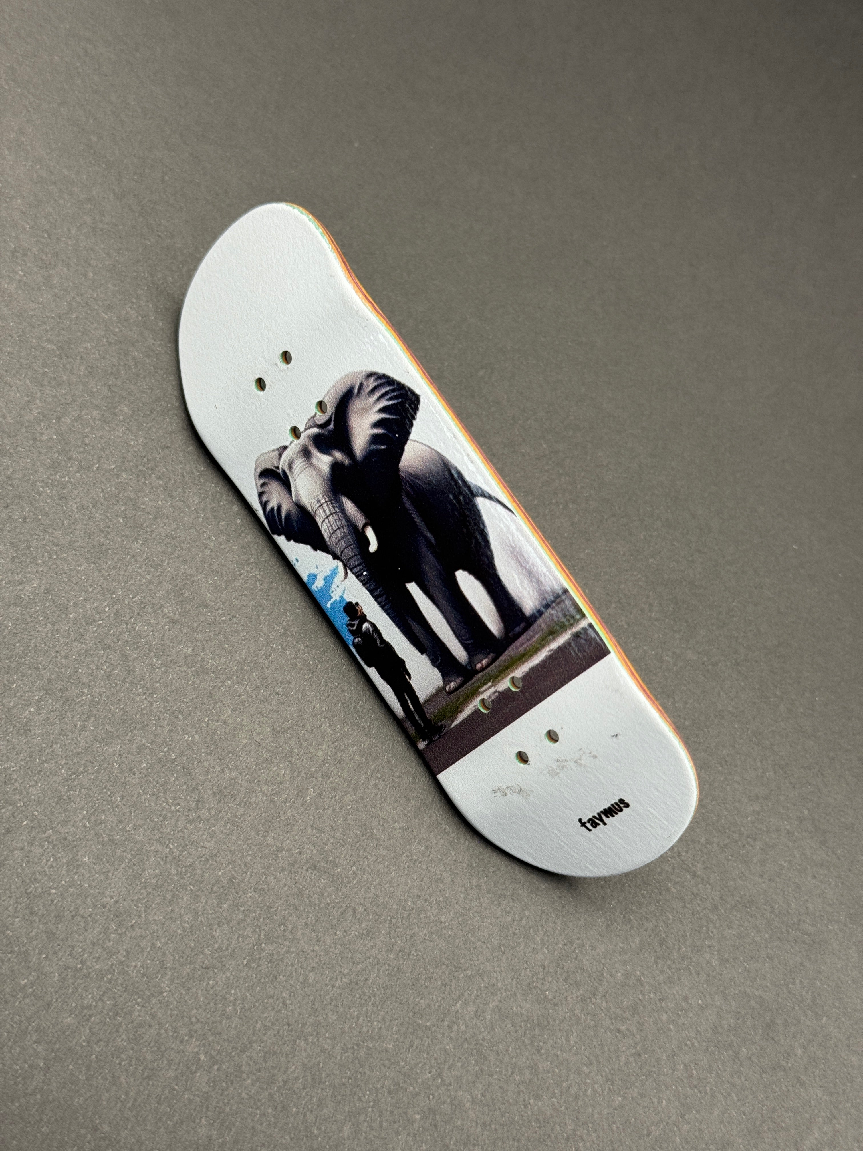 DK x Faymus 32mm DK-Pro - deck graphic side